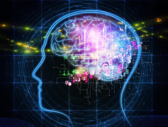 Intelligence and Intellect brain intelligence