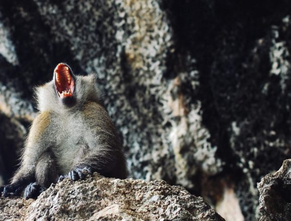 Avoid Ambitious People