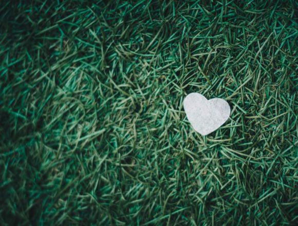 1 corinthians 13 4-8, love quotes, love, love sayings