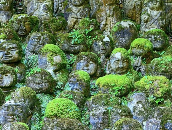 Dropping Enlightenment Dropping Enlightenment