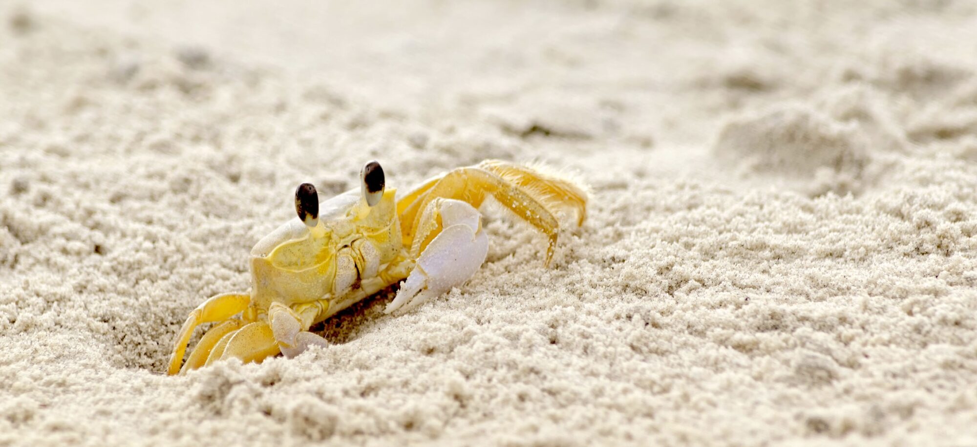 awareness through silence