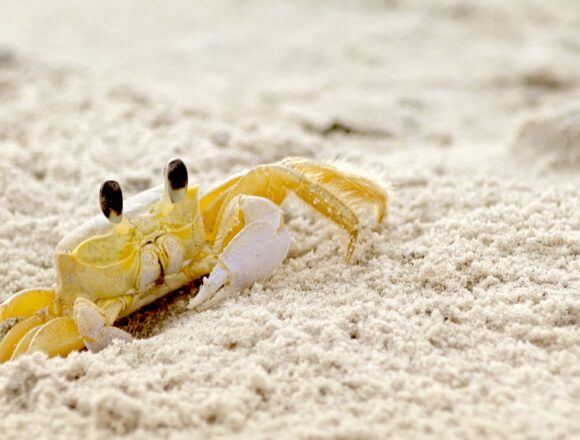 awareness through silence