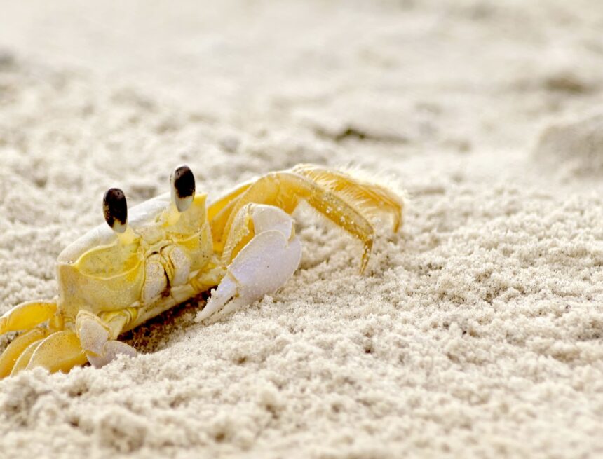 awareness through silence