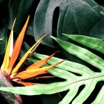 Is Technology Going to Save Us or Sink Us?