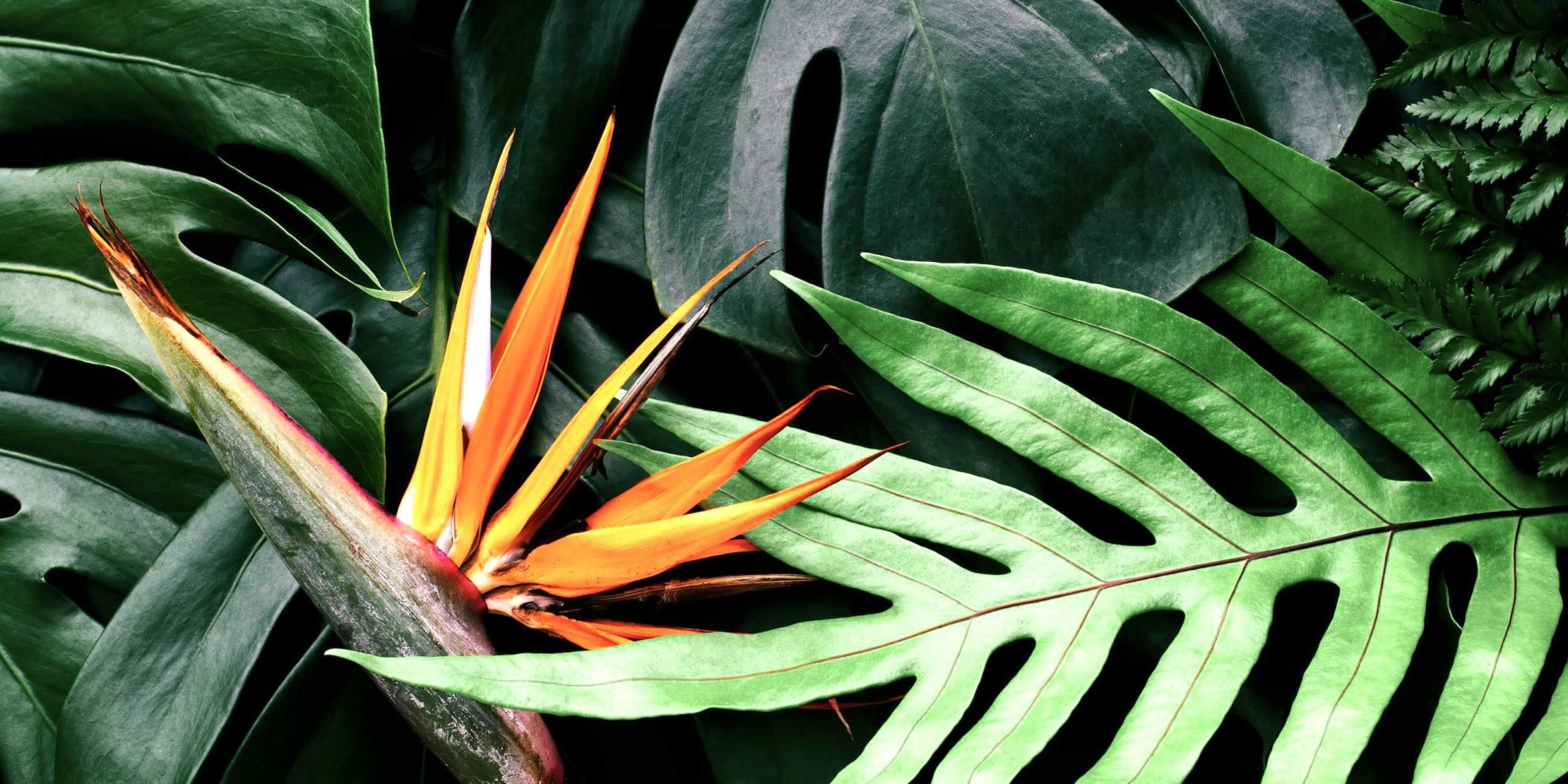 Is Technology Going to Save Us or Sink Us?