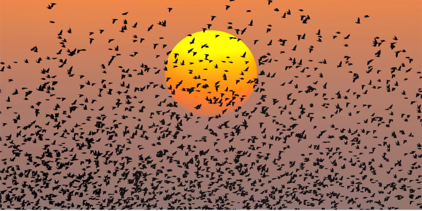 Mindfulness as emergent phenomena